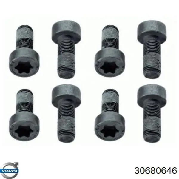 1641008 Ford Болт кріплення маховика