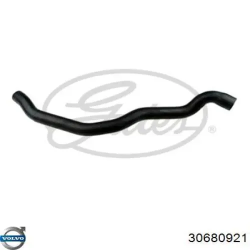 Шланг/патрубок радіатора охолодження, нижній Gates 052393 ціна, від 20.52 USD