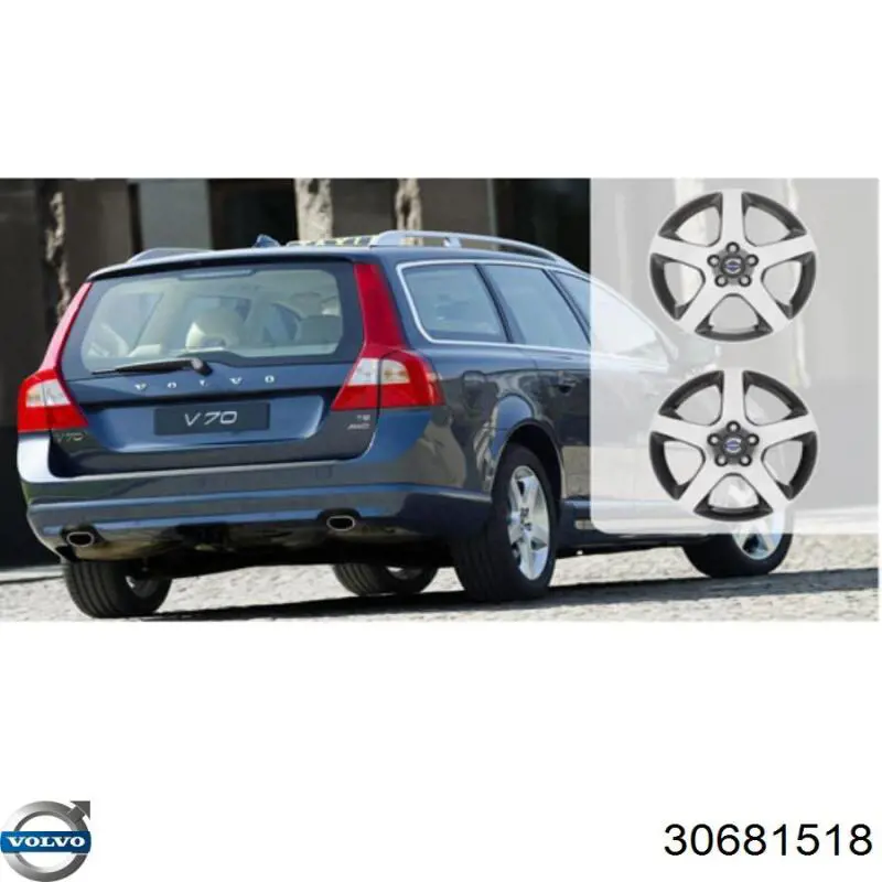  Volvo 30681518 ціна, від 1048.27 USD