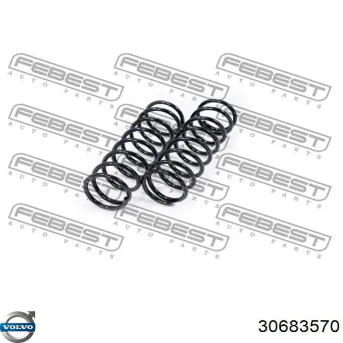 Купити 30683569 Volvo Задні пружини