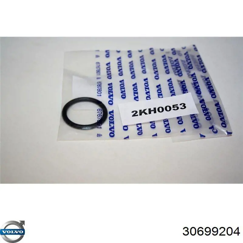 30699204 Volvo 