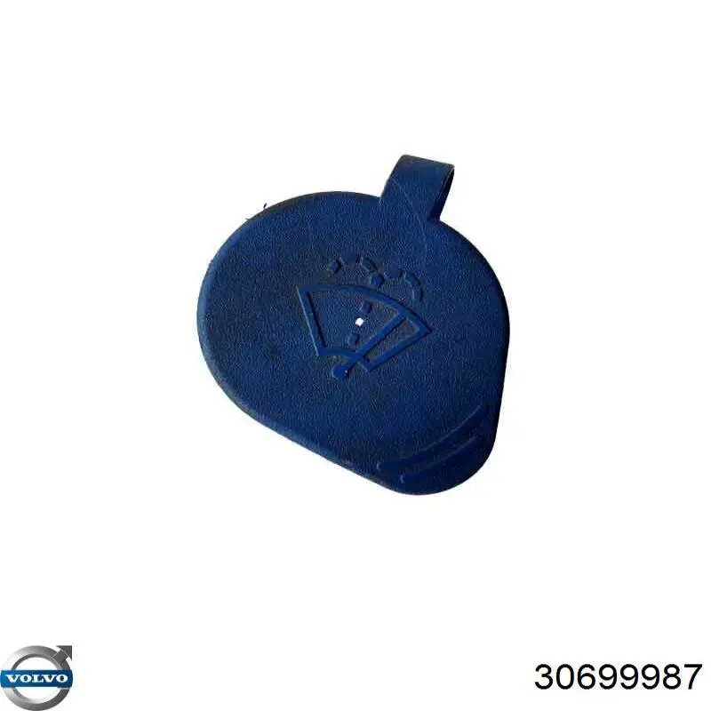 Купити 30699987 Volvo 