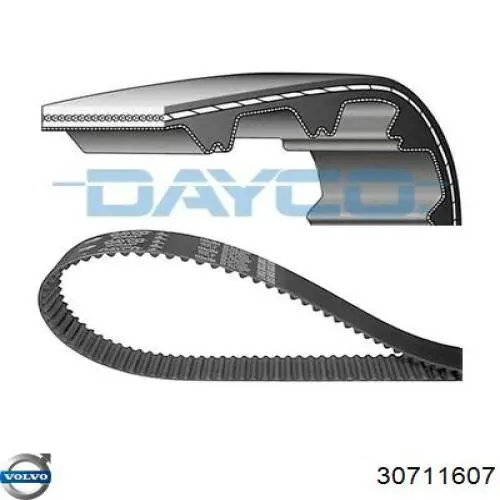 Зубчастий ремінь Volvo 30711607 ціна, від 16.28 USD