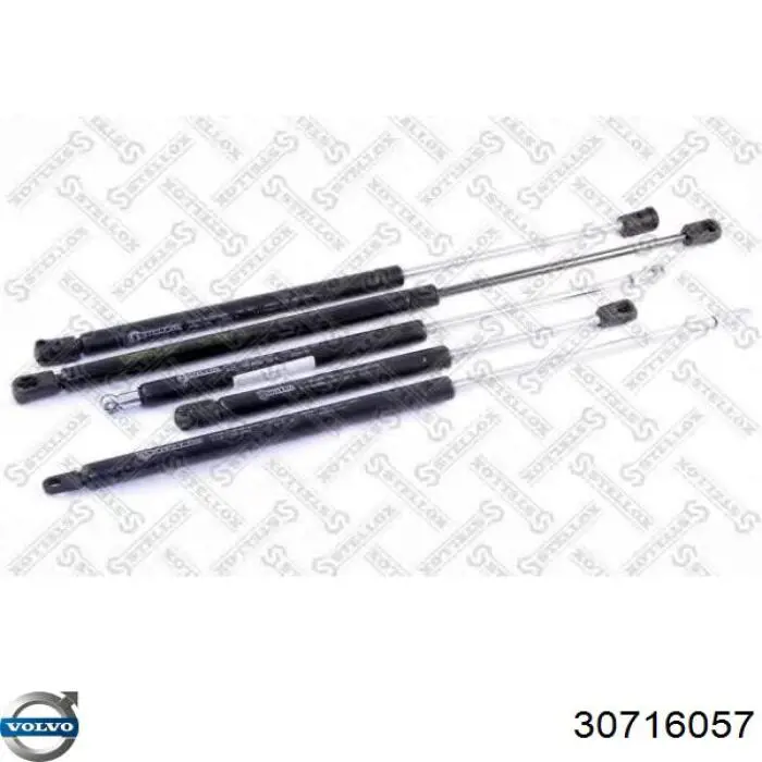 Купити 30716057 Volvo Амортизатор двері багажника