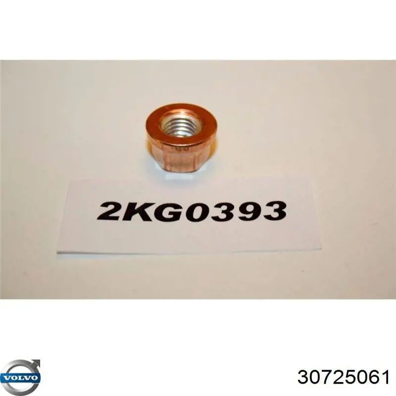 Купити 31259255 Volvo Гайка випускного колектора