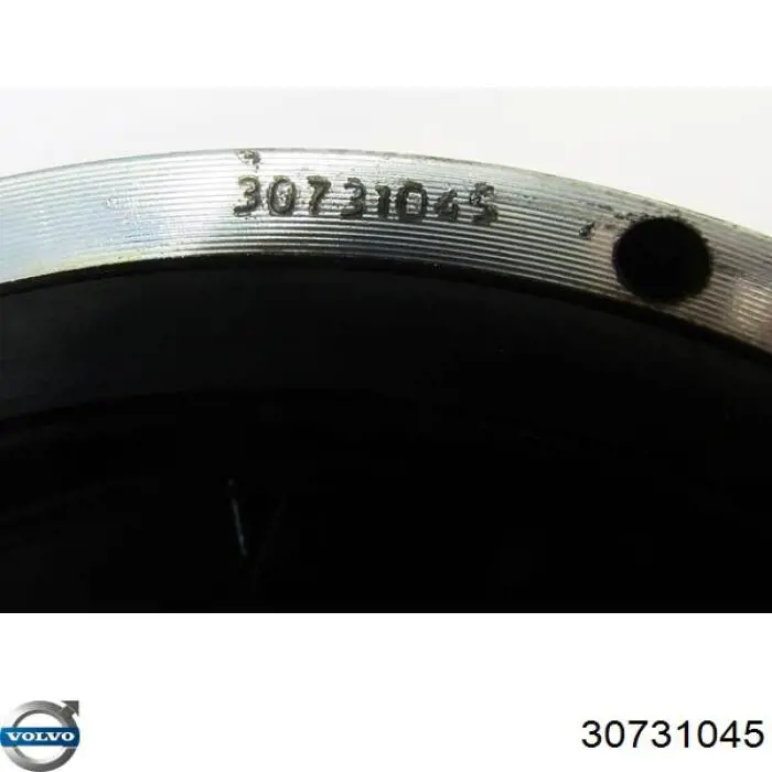 Купити 30731045 Volvo Шків колінчастого вала