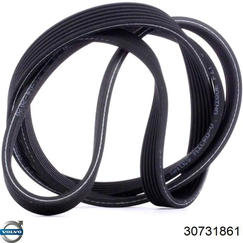 Купити 30731861 Volvo Ремінь генератора