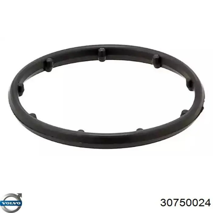 Прокладка радіатора масляного Volvo 30750024 ціна, від 4.45 USD