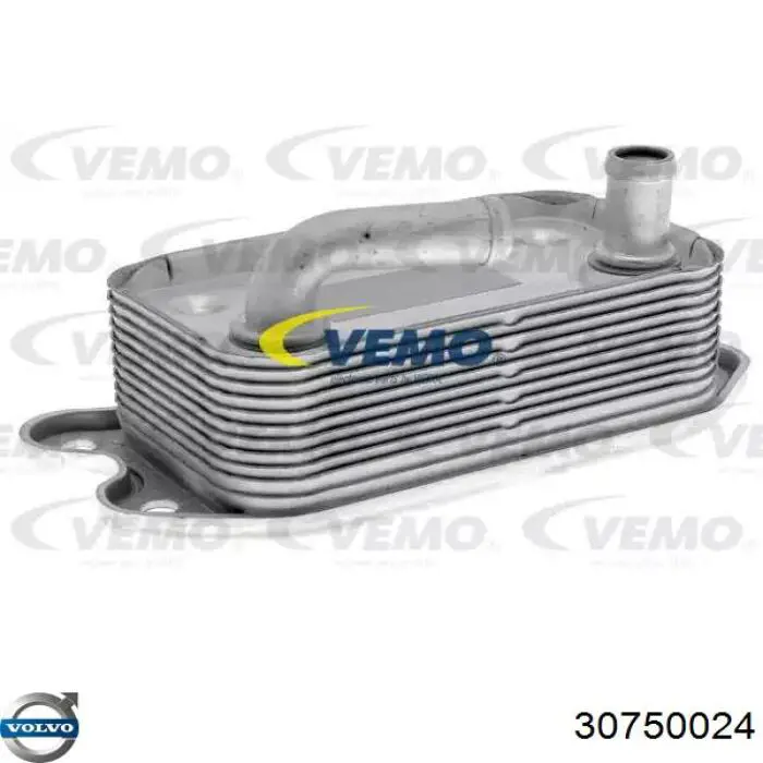Купити 30750024 Volvo Прокладка радіатора масляного
