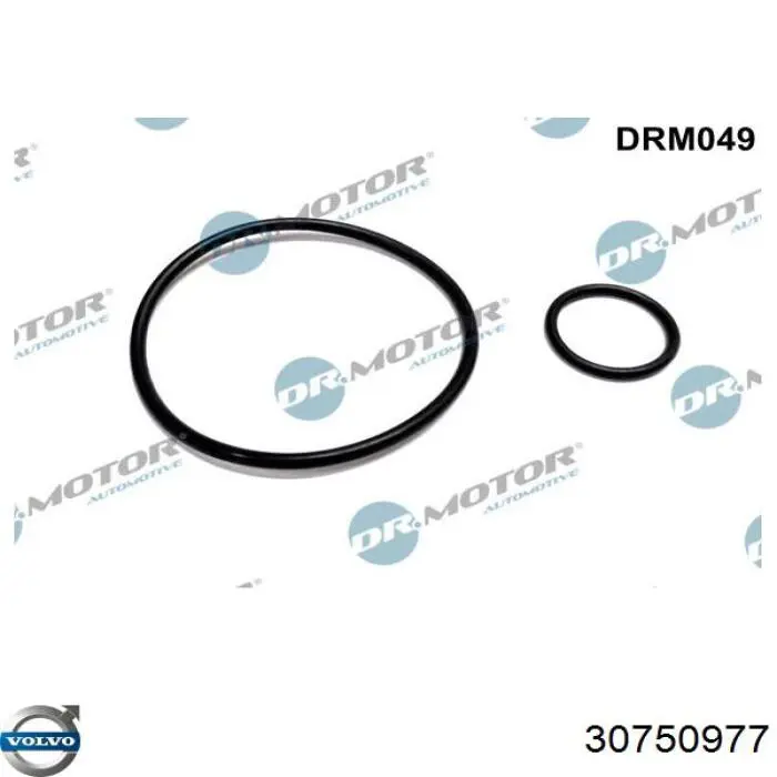Купити 9404599368 Fiat/Alfa/Lancia Прокладка вакуумного насосу