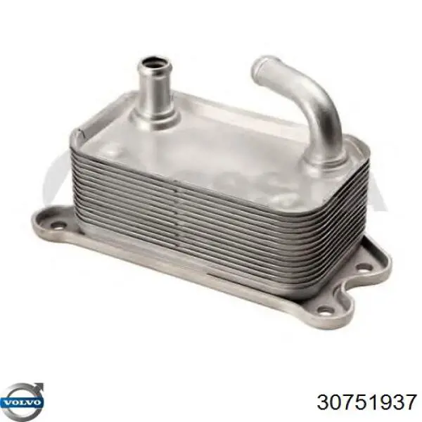 Радіатор масляний Volvo 30751937 ціна, від 31.40 USD