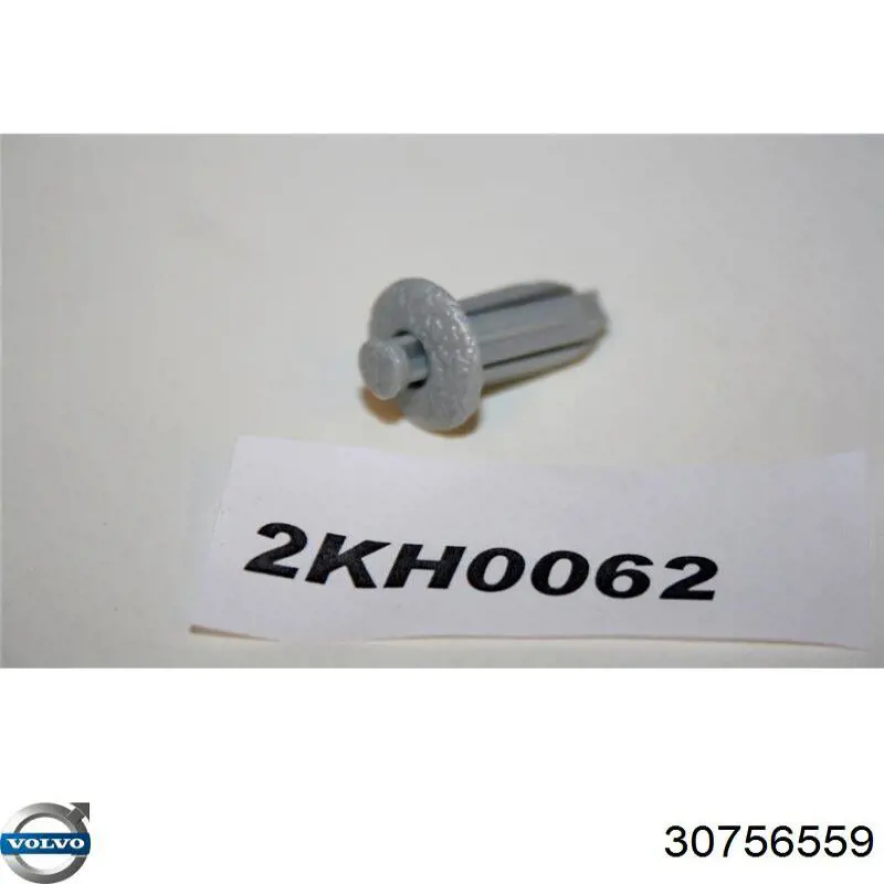 30756559 Volvo 