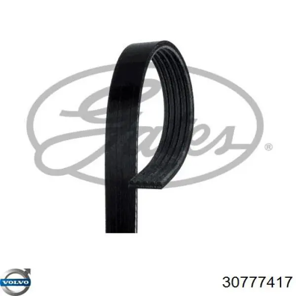 Купити 30777417 Volvo Ремінь генератора