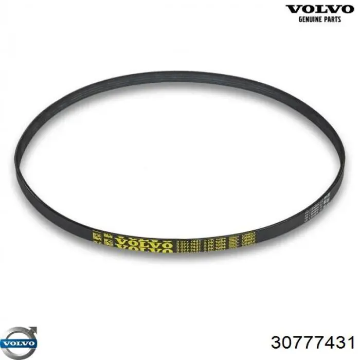 Ремінь кондиціонера Ford 1453619