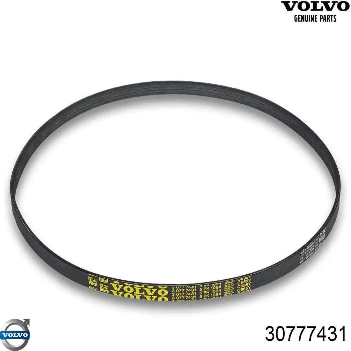 Купити 30777431 Volvo Ремінь генератора