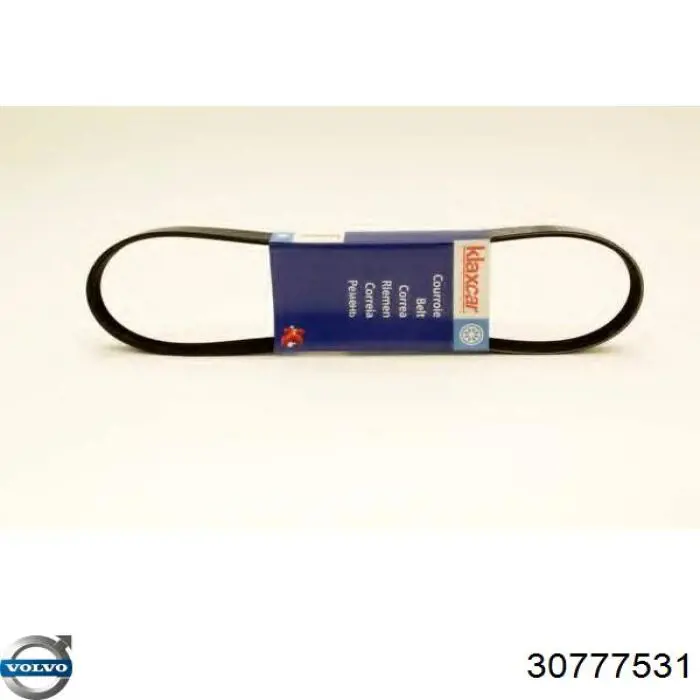 Клиновий ремінь Volvo 30777531 ціна, від 6.55 USD
