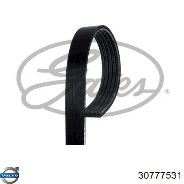 Купити 30777531 Volvo Ремінь генератора