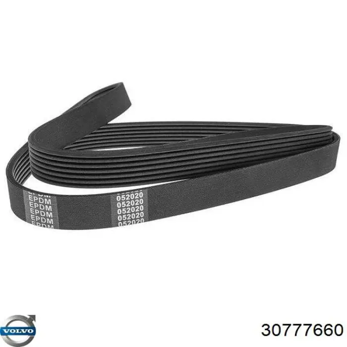 Клиновий ремінь Volvo 30777660 ціна, від 11.68 USD