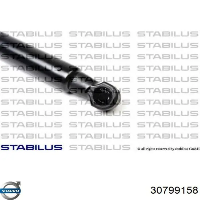 Купити 430719048900 Magneti Marelli Амортизатор двері багажника