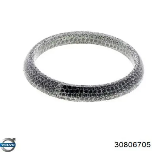 6001021335 Renault (RVI) Кільце приймальні труби глушника ущільнювача