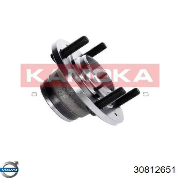 Маточини задніх коліс Volvo 30812651 ціна, від 51.06 USD