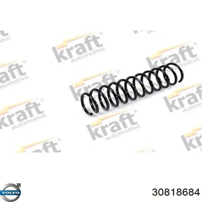 Купити 30620554 Volvo Задні пружини