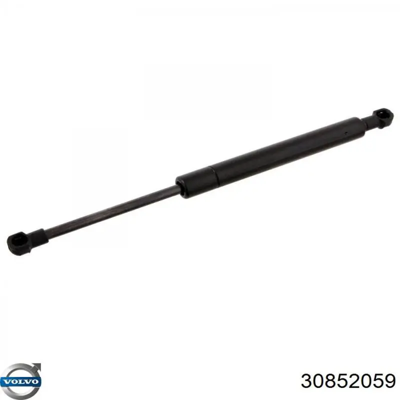 Амортизатор багажника 27630 Febi
