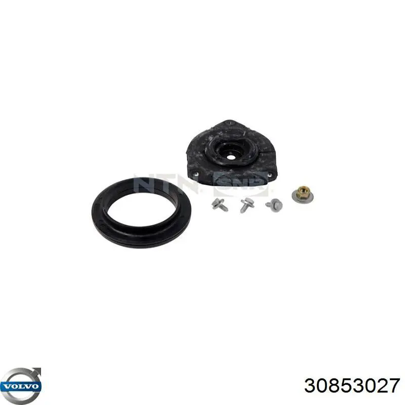 Болт головки блока циліндрів, ГБЦ Volvo 30853027 ціна, від 3.20 USD