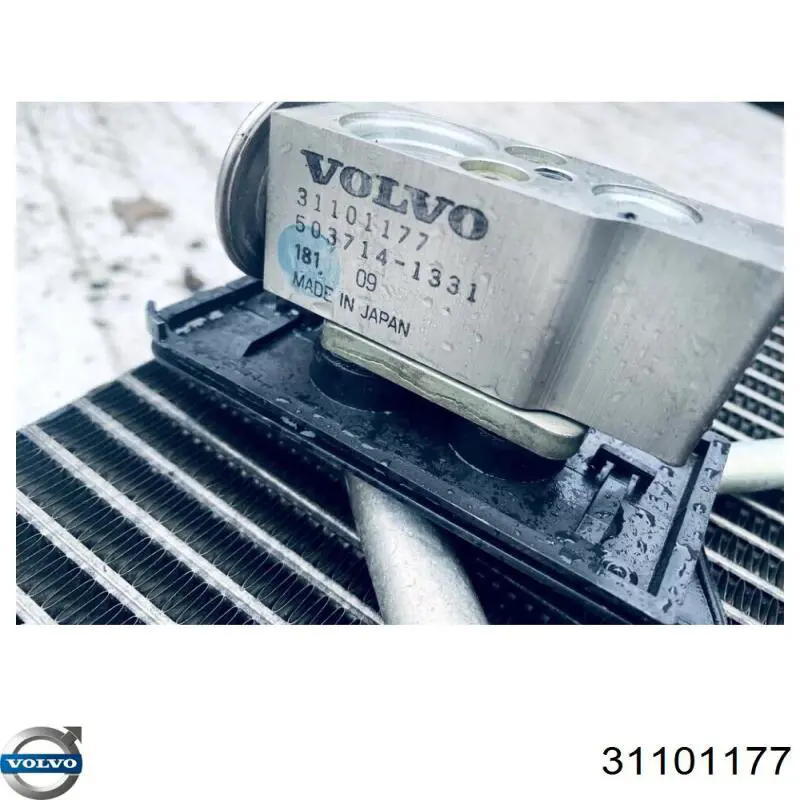 Купити 31101177 Volvo Клапан TRV, кондиціонера