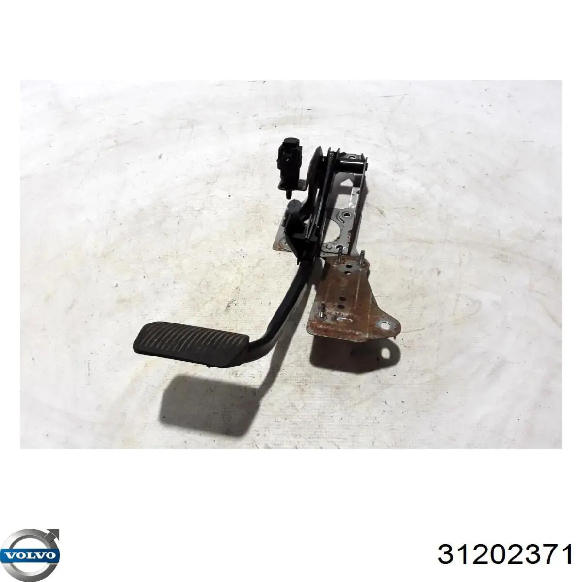 Купити 31341385 Volvo 