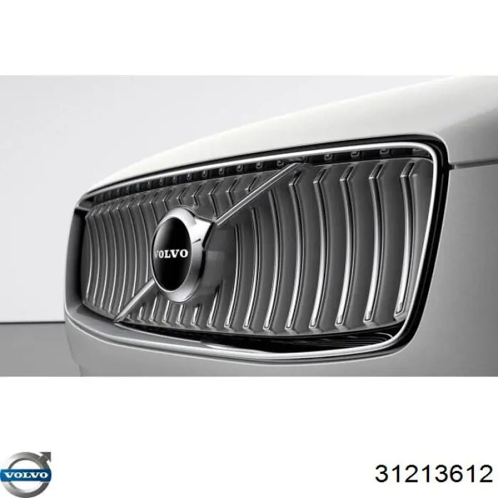 31213612 Volvo 