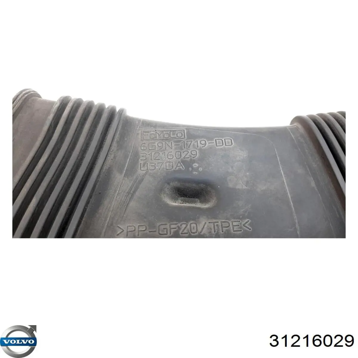 Купити 31216029 Volvo 