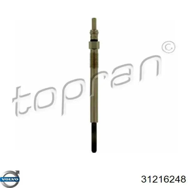 Купити 31216248 Volvo Свічка накалу
