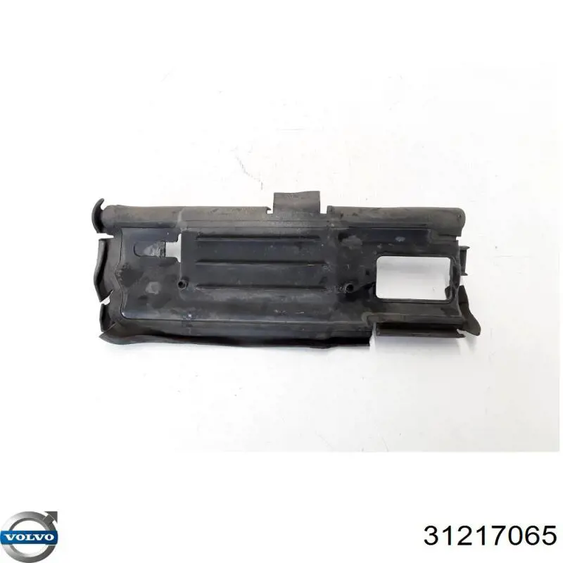 Купити 31217065 Volvo 