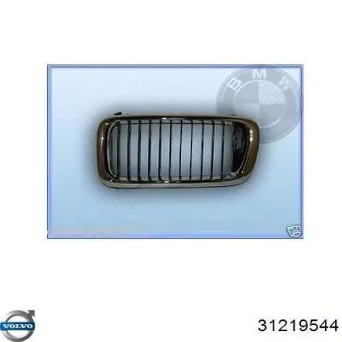 Прокладка водяної помпи Volvo 31219544