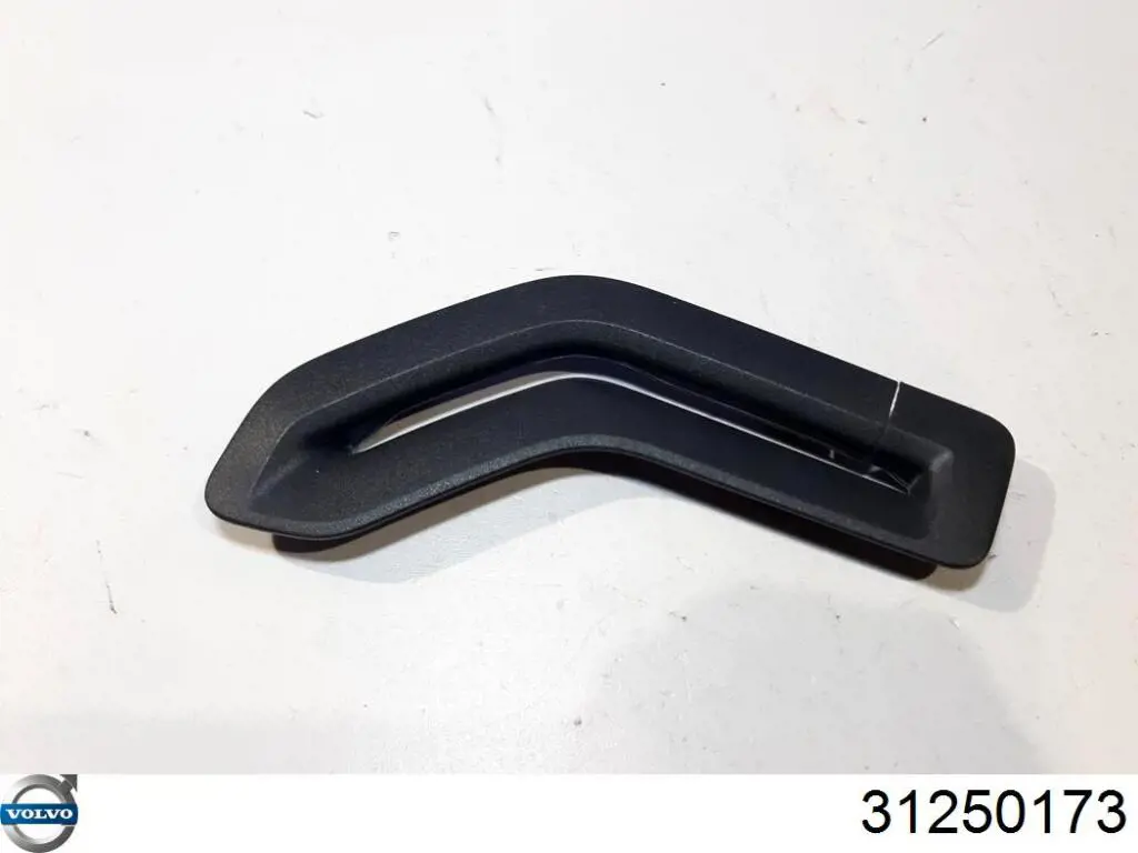 31250173 Volvo 