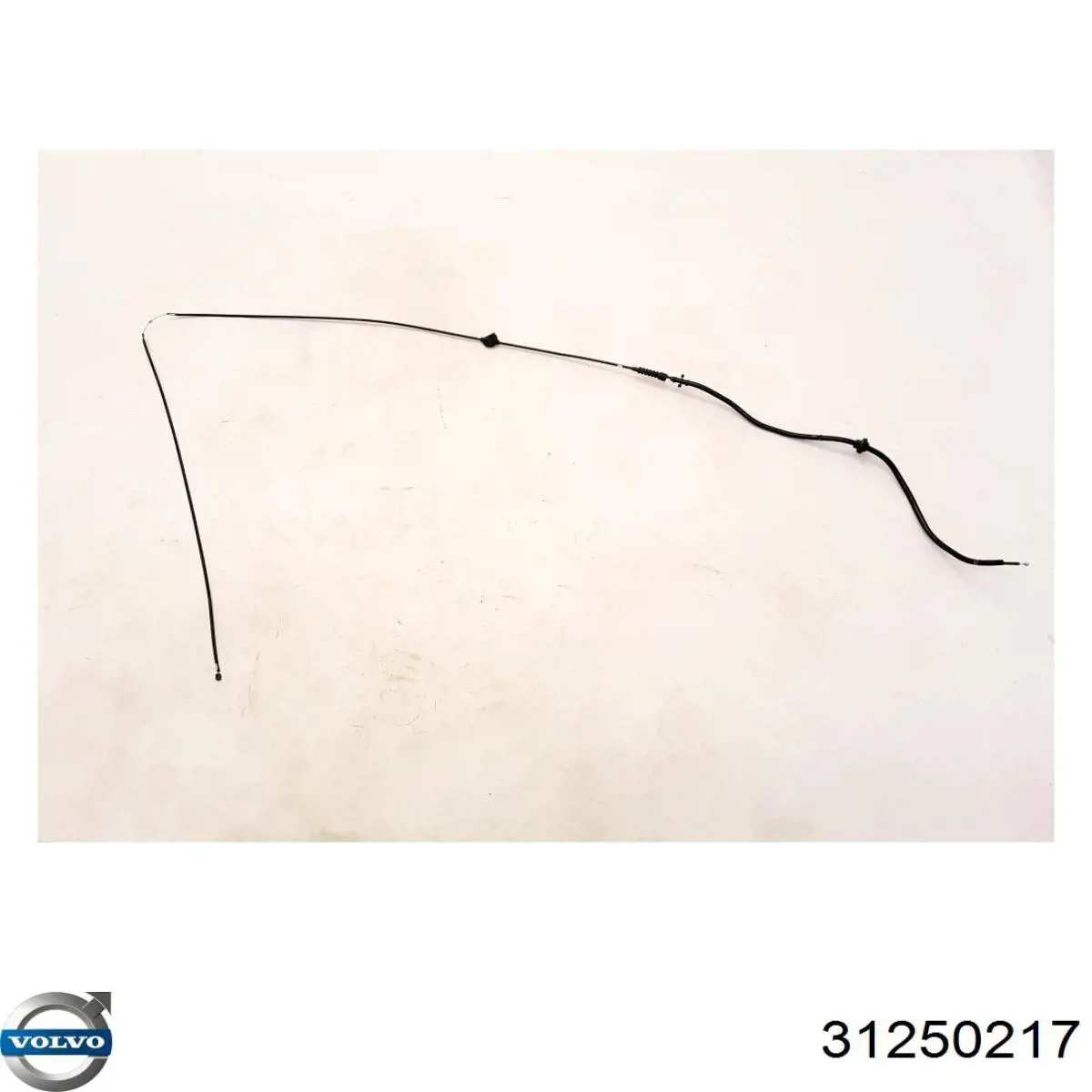 Купити 31250217 Volvo 
