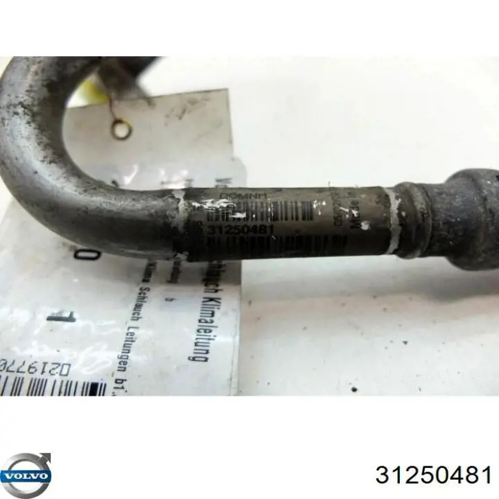 31250481 Volvo