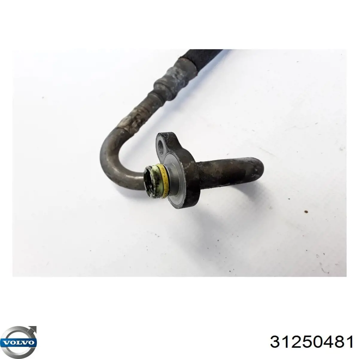 31250481 Volvo 