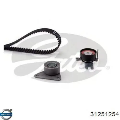 Купити 31251254 Volvo ГРМ ремень