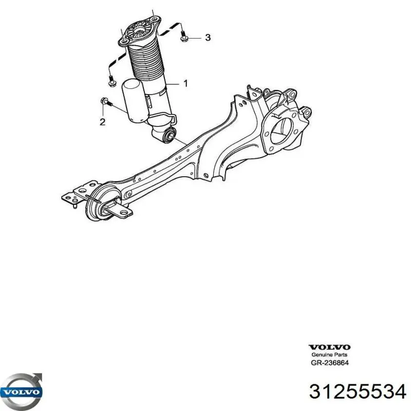31255534 Volvo 