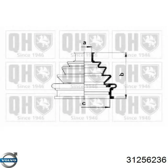Купити 31256236 Volvo Пильник шарніра приводу