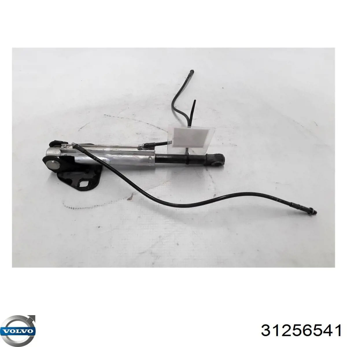 31256541 Volvo 