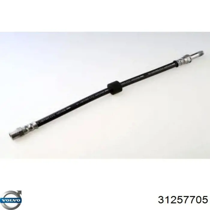 Купити 31257705 Volvo Гальмівні шланги передні
