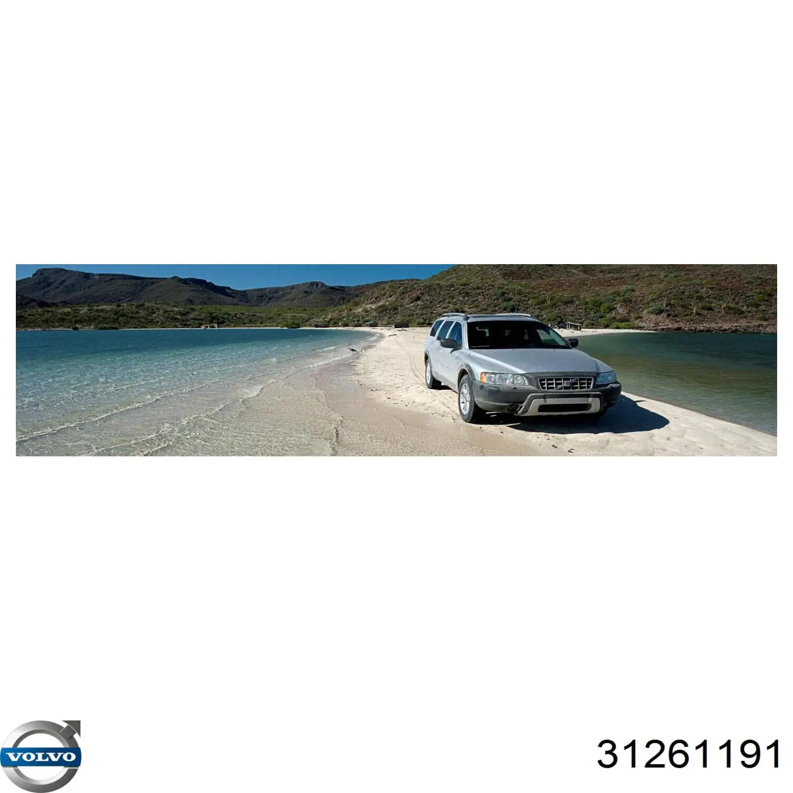 Купити 31261191 Volvo Фільтр-відстійник палива грубої очистки