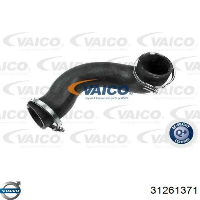 Купити 31261371 Volvo Шланг/патрубок интеркуллера