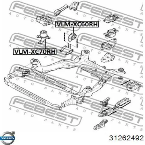 Подушка (опора) двигуна, нижня Volvo 31262492 ціна, від 37.46 USD