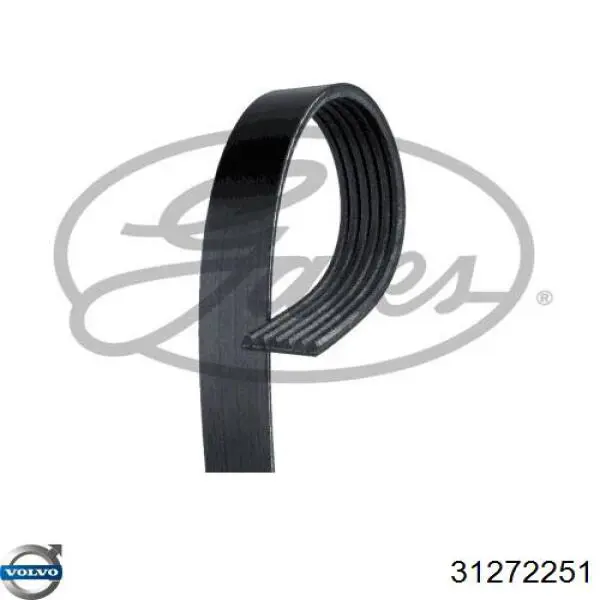 Купити 31272251 Volvo Ремінь генератора