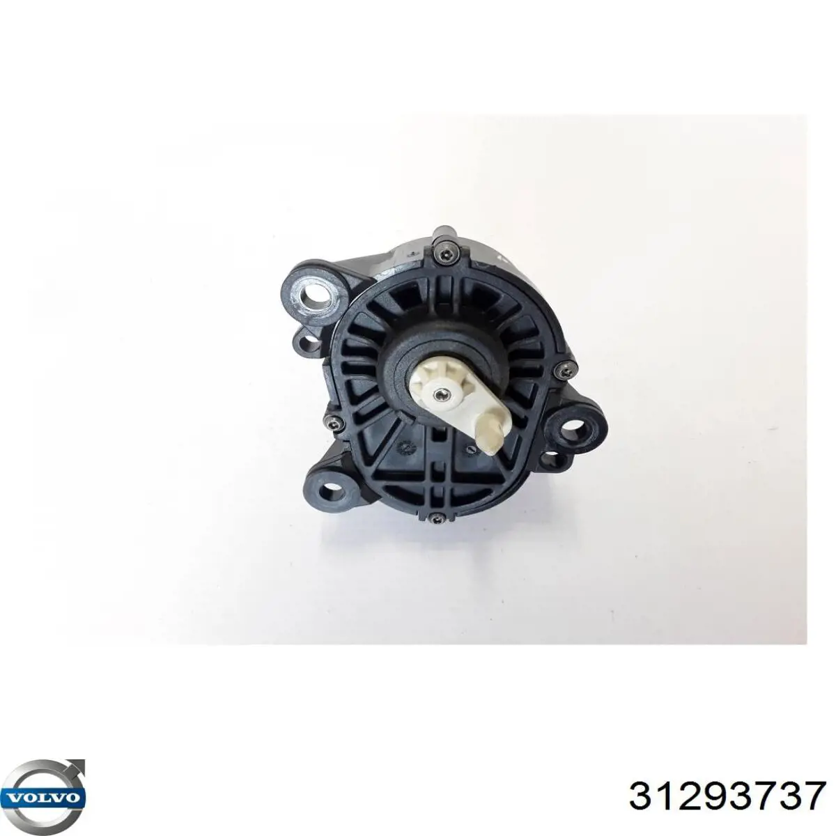 Купити 31293737 Volvo 