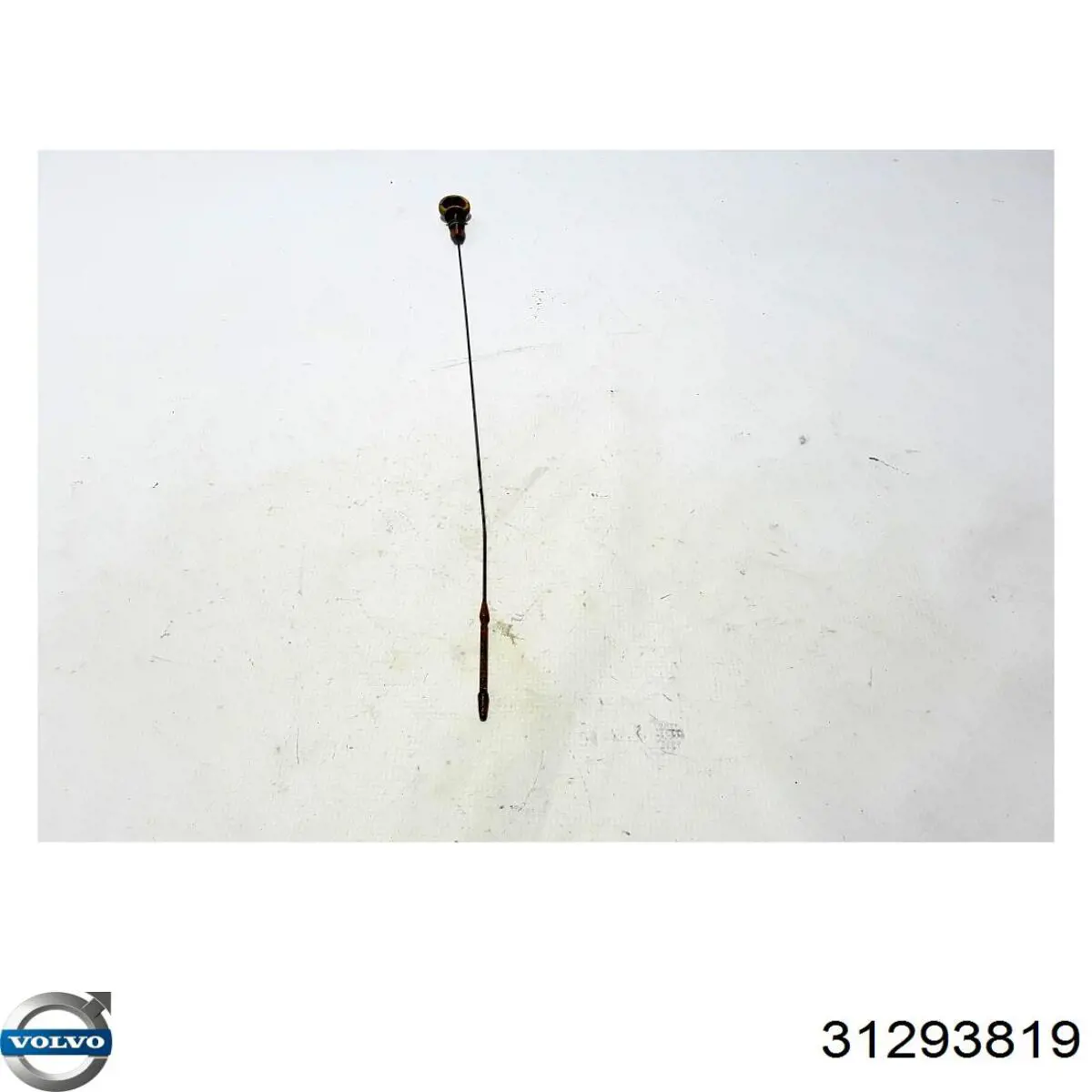 Купити 31293819 Volvo Впускний колектор